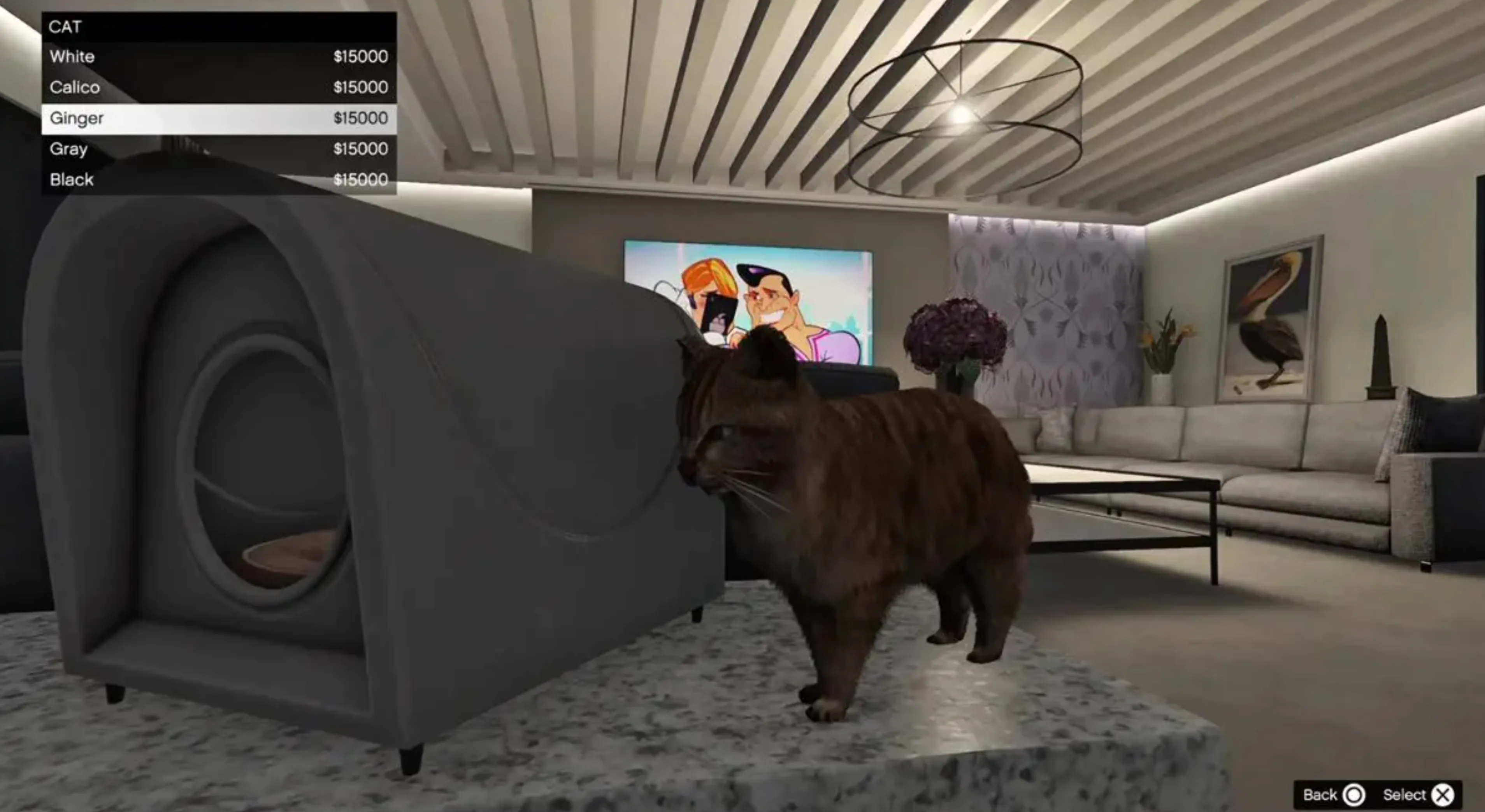 cats gta online